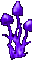 pilze.gif (2010 Byte)